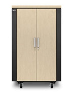 APC NetShelter CX 24U Freestanding rack Grey, Oak
