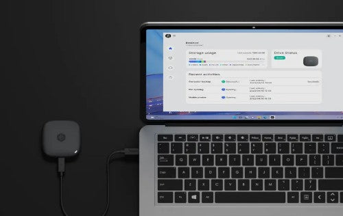 Synology BeeDrive 4 TB Black