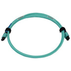 Tripp Lite N846B-02M-24-P 40/100/400G Multimode 50/125 OM3 Fiber Optic Cable (24F MTP/MPO-PC F/F), LSZH, Aqua, 2 m (6.6 ft.)