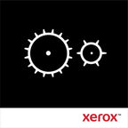 Xerox 108R01037 Filter, 120K pages for Xerox Phaser 7800