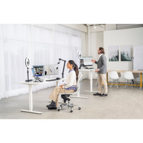 Kensington A1010 Telescoping Desk Stand