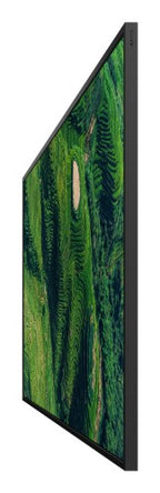 Sony BRAVIA FW-65BZ35P 65” High brightness 500 nit 4K HDR professional display with Deep Black Non-Glare Standard and IP5X dust resistance