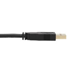 Tripp Lite DisplayPort KVM Cable Kit - DP, USB, 3.5 mm Audio (3xM/3xM) + USB (M/M) + DP (M/M), 4K, 6 ft. (1.83 m), Black