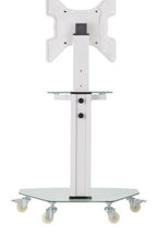 Eaton DMCS3255SG62W TV mount/stand 139.7 cm (55") White