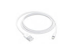 Apple Lightning to USB Cable (1m)