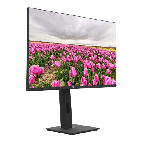 V7 23.8" FHD 1920x1080 IPS LED Monitor
