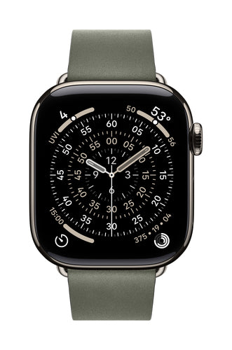 Apple 42mm Sage Grey Modern Buckle - Medium