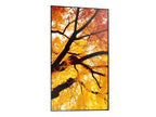 Sharp MultiSync PN-M982 Interactive flat panel 2.48 m (97.5") LED 550 cd/m² 4K Ultra HD Black 24/7