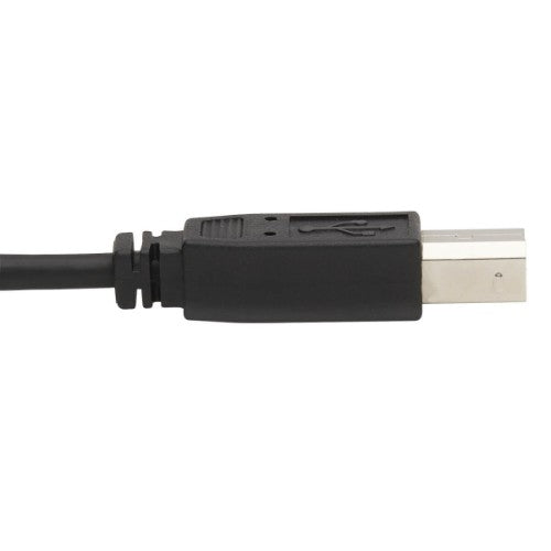 Tripp Lite DisplayPort KVM Cable Kit - DP, USB, 3.5 mm Audio (3xM/3xM) + USB (M/M) + DP (M/M), 4K, 6 ft. (1.83 m), Black
