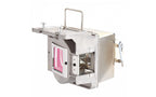 Viewsonic RLC-096 projector lamp