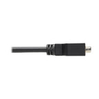 Tripp Lite P134-000 DisplayPort to DVI-I Adapter Cable (M/F), 6 in. (15.2 cm)