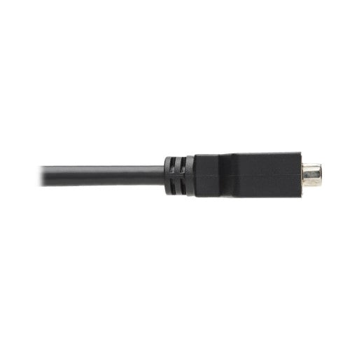 Tripp Lite P134-000 DisplayPort to DVI-I Adapter Cable (M/F), 6 in. (15.2 cm)