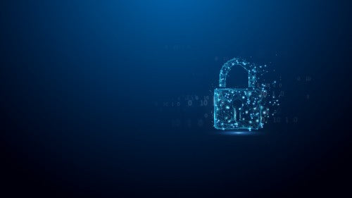 Kingston Technology IronKey 32GB D500S FIPS 140-3 Lvl 3 AES-256