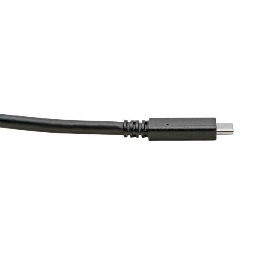 Tripp Lite U420-006 USB-C Cable (M/M) - USB 3.2, Gen 1 (5 Gbps), Thunderbolt 3 Compatible, 6 ft. (1.83 m)