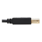 Tripp Lite P782-006-HA HDMI KVM Cable Kit - 4K HDMI, USB 2.0, 3.5 mm Audio (M/M), Black, 6 ft. (1.83 m)