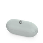 Apple Beats Solo Buds - True Wireless Earbuds - Storm Grey