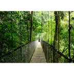 HP EliteBook 6 G1ah AMD Ryzen™ 5 220 Laptop 35.6 cm (14") WUXGA 16 GB DDR5-SDRAM 512 GB SSD Wi-Fi 6E (802.11ax) Windows 11 Pro AI PC Silver