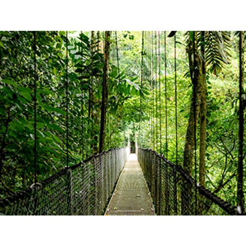 HP EliteBook 6 G1ah AMD Ryzen™ 5 220 Laptop 35.6 cm (14") WUXGA 24 GB DDR5-SDRAM 512 GB SSD Wi-Fi 6E (802.11ax) Windows 11 Pro AI PC Silver