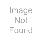 Riello Vision 1500 uninterruptible power supply (UPS) 1.5 kVA 1200 W 6 AC outlet(s)