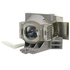 Viewsonic RLC-102 projector lamp