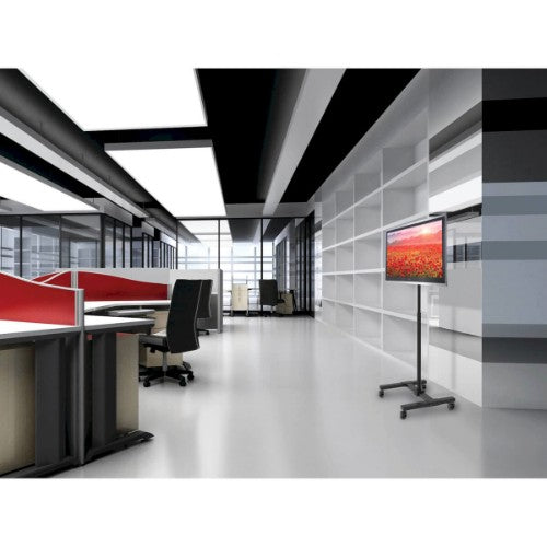 Tripp Lite DMC1342S Mobile TV Stand - Height Adjustable, 13” to 42” TVs and Monitors, Locking Casters, Black