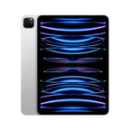 Apple iPad Pro 4th Gen 11in M2 Wi-Fi 1000GB - Silver