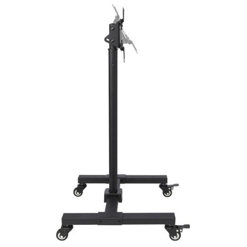 Tripp Lite DMC1342S Mobile TV Stand - Height Adjustable, 13” to 42” TVs and Monitors, Locking Casters, Black