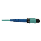 Tripp Lite N846B-05M-24-P 40/100/400G Multimode 50/125 OM3 Fiber Optic Cable (24F MTP/MPO-PC F/F), LSZH, Aqua, 5 m (16.4 ft.)