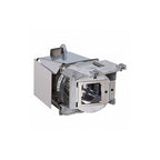Viewsonic RLC-111 projector lamp