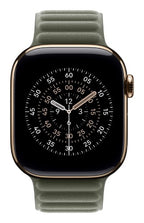Apple 42mm Sage Grey Magnetic Link - M/L