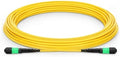 Nvidia MFP7E30-N060 InfiniBand/fibre optic cable 60 m MPO Yellow