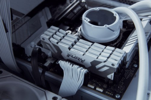 Kingston Technology FURY 24GB 8000MT/s DDR5 CL38 DIMM Renegade White