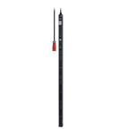 APC EPDU1232S power distribution unit (PDU) 24 AC outlet(s) 0U Black