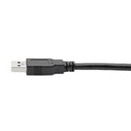 Tripp Lite U325-006 USB 3.0 SuperSpeed A to A Cable for USB 3.0 All-in-One Keystone/Panel Mount Couplers (M/M), Black, 6 ft. (1.8 m)
