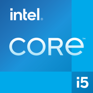 DELL Pro QCS1250 Intel® Core™ i5 i5-14500 16 GB DDR5-SDRAM 512 GB SSD Windows 11 Pro Slim PC PC Black