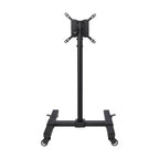 Tripp Lite DMC1342S Mobile TV Stand - Height Adjustable, 13” to 42” TVs and Monitors, Locking Casters, Black