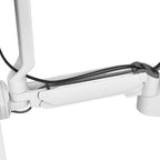Ergotron 45-621-251 All-in-One PC/workstation mount/stand 10.7 kg White 68.6 cm (27")