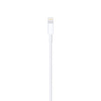 Apple Lightning to USB Cable (1m)