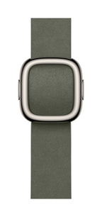 Apple 42mm Sage Grey Modern Buckle - Medium