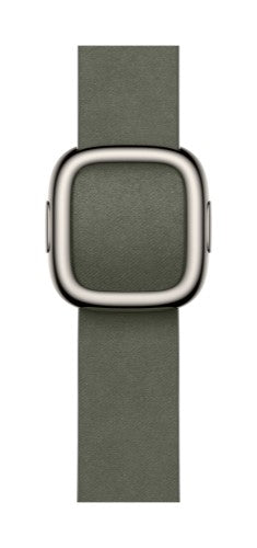 Apple 42mm Sage Grey Modern Buckle - Large