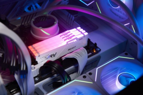 Kingston Technology FURY Beast 32GB 6000MT/s DDR5 CL30 DIMM White RGB EXPO