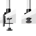 StarTech.com Desk Mount Monitor Arm For 27in 16:9 or 30in 21:9 Ultrawide Screens, VESA 75x75/100x100, Tool-Less Mechanical Spring Arm, C-Clamp/Grommet, TAA