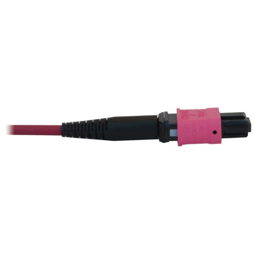 Tripp Lite N845B-03M-12-MG 100G Multimode 50/125 OM4 Fiber Optic Cable (12F MTP/MPO-PC F/F), LSZH, Magenta, 3 m (9.8 ft.)