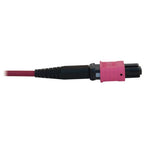 Tripp Lite N845B-10M-12-MG 100G Multimode 50/125 OM4 Fiber Optic Cable (12F MTP/MPO-PC F/F), LSZH, Magenta, 10 m (32.8 ft.)