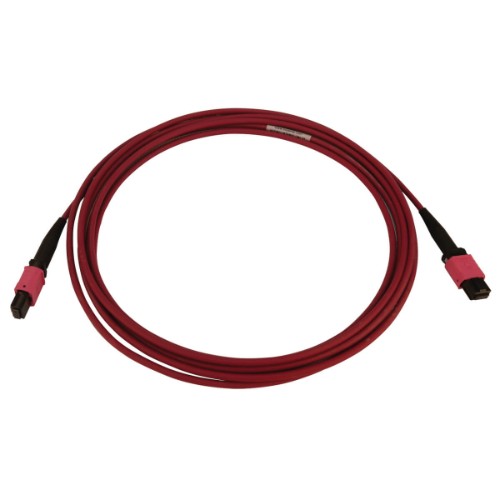 Tripp Lite N845B-03M-12-MG 100G Multimode 50/125 OM4 Fiber Optic Cable (12F MTP/MPO-PC F/F), LSZH, Magenta, 3 m (9.8 ft.)