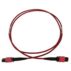 Tripp Lite N845B-01M-12-MG 100G Multimode 50/125 OM4 Fiber Optic Cable (12F MTP/MPO-PC F/F), LSZH, Magenta, 1 m (3.3 ft.)