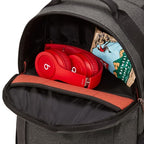 Case Logic Era CEBP-105 Obsidian Backpack Grey