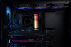 Kingston Technology FURY Beast 64GB 6000MT/s DDR5 CL36 DIMM (Kit of 2) RGB EXPO
