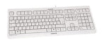 CHERRY KC 1000 keyboard USB Spanish Grey