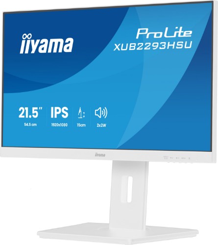 iiyama ProLite 21.5” IPS monitor with a three-side borderless design, integrated USB hub, 100Hz refresh rate and height-adjustable stand